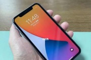 揭秘iPhone11图片大小的奥秘（探究iPhone11图片大小设置及其影响）