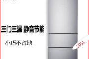 容声冰箱电源清洗指南（保障家庭食品安全）