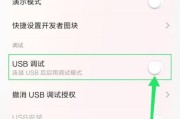 如何关闭开发人员选项（简单有效的方法让你轻松关闭开发人员选项）