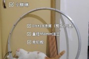 解决猫咪不玩跑步机的问题（如何激发猫咪对跑步机的兴趣和参与度）