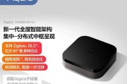 中枢网关设置为副中枢的步骤是什么？