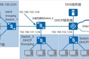 网路通dhcp服务器的使用方法是什么？