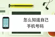 如何通过SIM卡号码查询信息（通过SIM卡号码追踪位置）