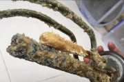 如何清理以史密斯热水器中的水垢（简单有效的清理方法）