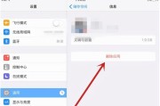 iPhone系统数据内存清理技巧大揭秘（掌握这些方法，让你的iPhone重新恢复流畅体验）