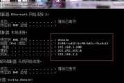 以IP地址获取信息的方法（探索IP地址的奥秘与应用）