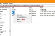 电脑注册表编辑器的使用方法及注意事项（简单实用的注册表编辑工具——电脑注册表编辑器）