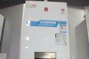 夏普热水器E4故障的维修方法（探究热水器E4故障的原因及解决方案）
