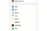苹果Safari浏览器如何下载文件（简单易用的文件下载方法和技巧）