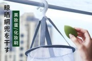如何正确清洗以网兜油烟机（学会正确清洗油烟机）