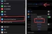 解决苹果商店无法使用的问题（应对苹果商店无法打开或下载应用的困扰）
