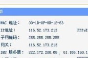 探究域名服务器IP地址查询方法（揭秘IP地址查询工具及使用技巧）