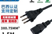 瑞士充电器插头有何特点？如何识别？