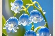 苹果手机拍摄花光影效果的技巧是什么？