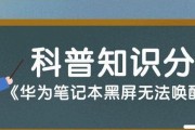 重复点击导致电脑屏幕黑屏的原因是什么？如何预防和解决？