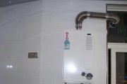 深度解析以林内热水器产生水垢的原因和有效除垢方法（探究热水器内水垢形成机理）