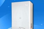 扬子燃气壁挂炉故障及维修指南（解决常见问题）
