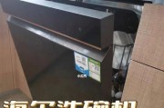 海尔洗碗机洗完发白的原因及解决方法（如何应对海尔洗碗机洗完发白的问题）