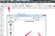 解决CDR软件无法正常使用的问题（探索CDR软件故障排除方法）