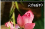 唱拍怎么使用手机拍照片？如何使用唱拍功能拍照？