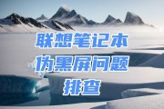 电脑音乐响黑屏原因？如何排查问题？