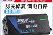 雅迪b60充电器功率是多少瓦？充电器规格对电池寿命有何影响？