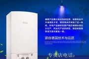 贝雷特壁挂炉故障排除指南（故障原因、常见问题及解决方法）
