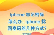 苹果13id密码忘记怎么处理？找回密码的步骤是什么？