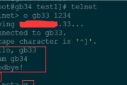 telnet查看端口状态怎么操作？查看端口状态有哪些步骤？
