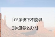 U盘无法启动PE系统的解决方法（解决U盘启动PE系统失败的有效措施）