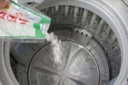 双缸洗衣机的清洗方法（如何正确清洗双缸洗衣机以保持洗衣效果和延长使用寿命）