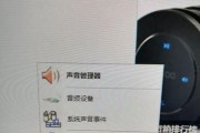 电脑没有声音的解决措施（快速排除电脑无声问题）