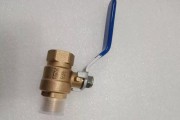 热水器黄铜过滤阀清洗方法（保持热水器黄铜过滤阀的高效运行）