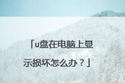教你如何使用chkdsk修复U盘问题（掌握chkdsk命令）