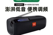 外户低音炮音响怎么选？选购低音炮音响的技巧有哪些？