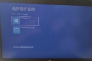 游戏显示器蓝屏怎么办？蓝屏问题解决方法有哪些？