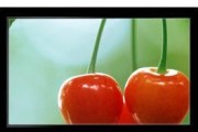 电视机无法开机的原因和解决方法（电视机电源故障）