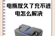 电瓶外接充电器充电方法是什么？