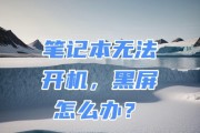 电脑应用打开后黑屏？如何快速解决？