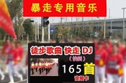 音箱播放DJ歌曲的设置方法？需要哪些步骤？