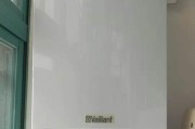 壁挂炉故障解决指南（如何应对壁挂炉出现EI故障）