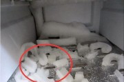 冰箱除冰块的方法（快速、安全、）