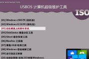 使用U盘启动PE安装系统的步骤（详细介绍如何利用U盘启动PE并安装系统）