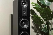 琅东音箱怎么调？调整过程中可能遇到哪些问题？
