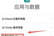 苹果手机激活日期查询方法大全（教你如何查看苹果手机的激活日期，轻松掌握手机信息）