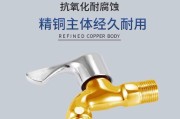 洗衣机止水阀的修安装指南（解决洗衣机止水阀故障的简便方法）