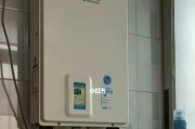 噪音大的威能热水器故障分析（解析威能热水器噪音大的原因及解决方法）