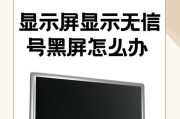 电脑显示屏黑屏？可能是什么原因？