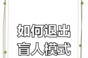 苹果手机盲人状态设置方法是什么？使用体验如何？