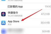 iOS系统下载安装教程（轻松学会在iOS系统上下载和安装应用程序）